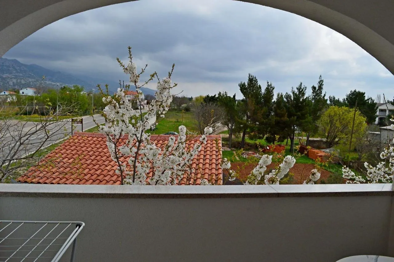 *** Guest house Apartments Ante 1306 Seline Croatia